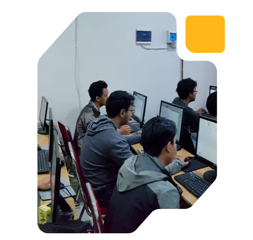 tentang kami